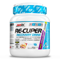 Performance Amix® Re-Cuper Recovery 550g - forest fruis